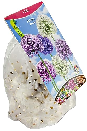 N.L. Chrestensen Wild- und Gartenblumen Mischung, Blumensamen Mischung sowie Blumenzwiebeln für Garten und Wiese – Bild 3