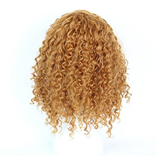 Long Hair Curly Wavy Full Head Synthetic Wigs Cosplay Costume Party Hairpiece + Free Wig Cap (Glod) #TOP1