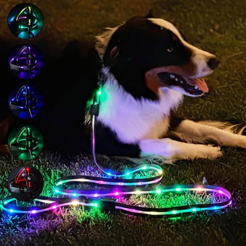 Luminoid LED Dog Leash | 6 ft | USB Rechargeable | 12 Multi-Color Animated Effects | Ultra-Bright LEDs Light-up Leash Keeps You & Dog Safe - by Glowy Zoey