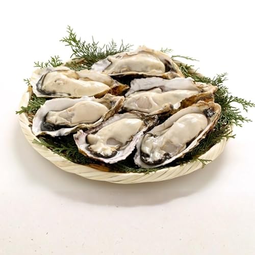 沢田水産 能登かき むき身 1kg(箱入り) 加熱調理用 ※北海道・沖縄・離島への配送不可 ※2026年1月下旬〜5月中旬頃に順次発送予定