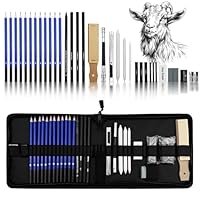Absyrony Zeichenstifte, Bleistifte Set, Kohlestifte zum Zeichnen, Bleistift, Graphitstift, Sketching Stifte, Zeichensets, Skizzierstifte, Skizzenbleistift, mit Tasche, für Künstler, Erwachsene, Kinder
