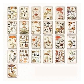 ぽんちゃん♪アルバムスクラップ、ジャンクジャーナル