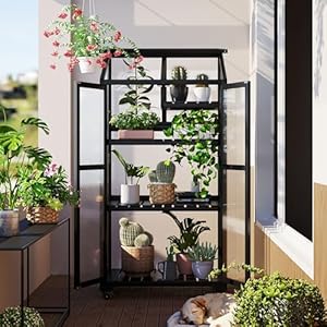Polibi Wooden Greenhouse, Cold Frame Portable Greenhouse with Wheels and Adjustable Shelves for Indoor Outdoor Patio Balcony Garden, 31.5" Lx22.4 Wx62 H, Black Polibi Wooden Greenhouse Cold Frame Portable Greenhouse with Wheels and Adjustable Shelves for Indoor Outdoor Patio Balcony Garden 315 Lx224 Wx62 H Black