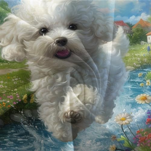Housse de couette fermeture éclair 260x220 anti-glissement chien