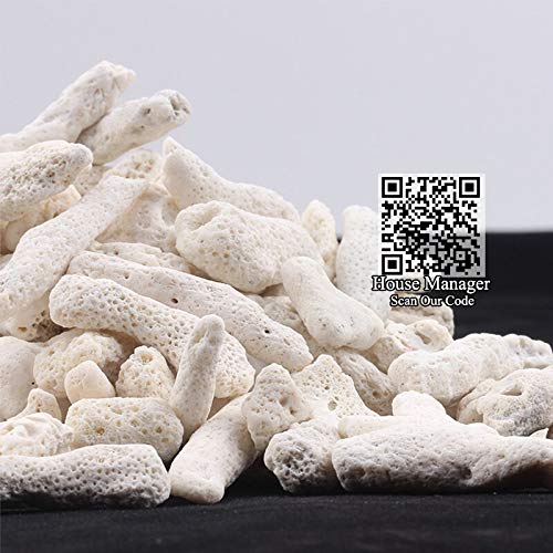 Filtre en os de corail naturel pour aquarium - 200 g - Matériau biologique moyen - Sable de corail pour pH stable - Filtrage d'aquarium