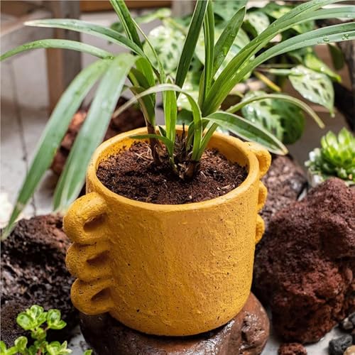 Flowerpot nordic style en ciment avec support de plante intérieur - 6