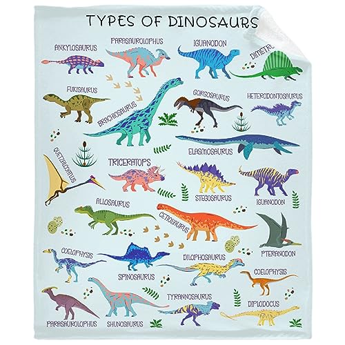 Image of Types of Dinosaurs Blanket Gifts for Women Adult Swaddle Friend Super Soft Warm Fuzzy Cozy Lightweight Throw Blankets for Home Bed Couch Sofa 30"x40" for Baby/Pets
