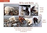  Billy und Bolle: oder braun trifft weiß oder zwei Bären (Re.Becca)