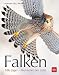 Produktbild Falken: Edle Jäger - Herrscher der Lüfte (BLV Vögel)