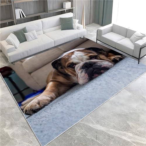 Hijab Boutique Patterns Area Rug 60x90cm Non Slip Washable Black Carpet for Living Room and Bedroom Flannel Rug for Children's Room Dining Room Home Decor Non Shedding Hijab Boutique Patterns Area Rug 60x90cm Non Slip Washable Black Carpet for Living Room and Bedroom Flannel Rug for Children's Room Dining Room Home Decor Non Shedding
