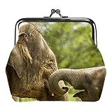 Chiusura con chiusura a chiusura a bacio: l'hardware della borsa è durevole. Blocco del bacio che rende il mini portafoglio Molto facile da aprire e chiudere, ed è anche molto robusto e sicuro. 