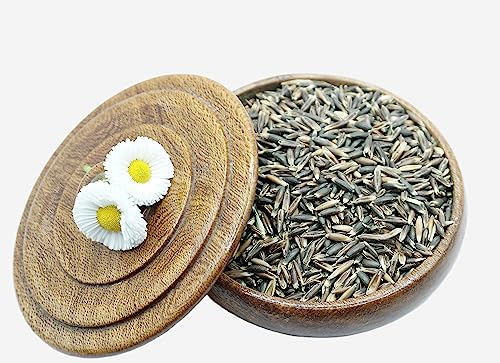 Reitgarten´s Bio Schwarzhafer ganzes Korn 10 kg Pferd Futter Kraftfutter Hafer Pferdefutter Organic