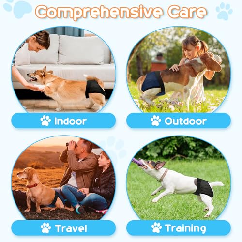 WUFANC 2er Pack Läufigkeitshose für Hündinnen Waschbare Schutzhöschen Wiederverwendbar Hundewindeln Hundehose mit 6 Damenbinde Verstellbare Schutzhose für Hunde Läufigkeit, Schwarz und Blau (L)