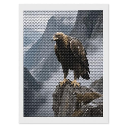 Kits de pintura de diamantes FekiLoot de águila para adultos principiantes