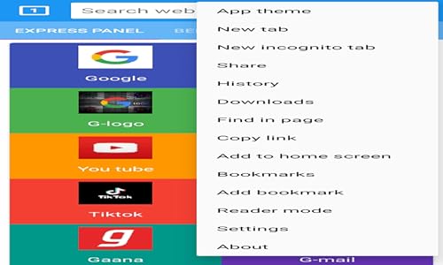C BROWSER