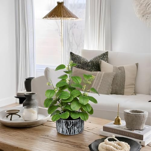 Artificial-Plants-Decor-Greenery-Fake-Ficus-Leaf-Indoor-Potted-14-Fake-Plant-with-Seeds-in-Rustic-Black-Ceramic-Planter-for-Farmhouse-Room-Bathroom-Bedroom-Kitchen-Office-Table-Desk-Decor Artificial Plants Decor Greenery Fake Ficus Leaf Indoor Potted 14 Fake Plant with Seeds in Rustic Black Ceramic Planter for Farmhouse Room Bathroom Bedroom Kitchen Office Table Desk Decor