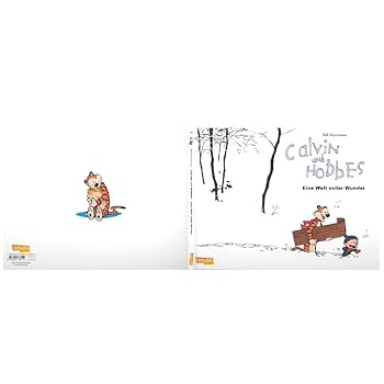 Calvin und Hobbes 11: Bill Watterson: 9783551786210: Amazon