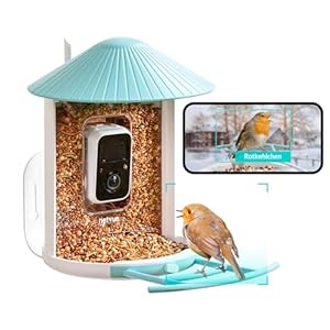 NETVUE by Birdfy Vogelfutterstation mit Kamera und Kostenlos KI Vogelerkennung Intelligent Vogelhaus mit App Benachrichtigung und Automatisch Aufnahme von Vogelvideos, ideal für Vogelliebhaber