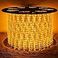 THABATAD 100ft 1080 LED Waterproof Rope Lights, 110V Connectable Indoor Outdoor Led Rope Lights, LED Strip Lights Decorative Lighting Idear for Trees, Bridges, Eaves, Pool, Wedding Use (Yellow)