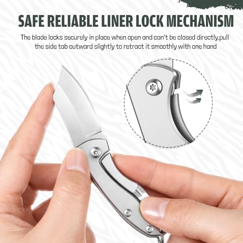 Image of Lothee 3 Pcs EDC Folding Knives - Stainless Steel, 2.48 inch Folded Size, Sharp Portable Tool Knife for Camping Hiking Survival, Practical Gear for Men Women (Silver)