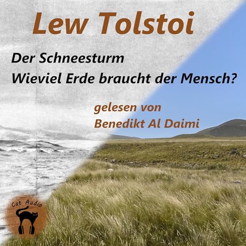 Der Schneesturm &amp;amp; Wieviel Erde braucht der Mensch? -- Lew Tolstoi episode artwork