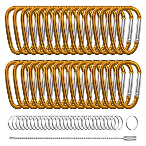 Mousquetons en aluminium lot de 30 avec porte-clés en forme de D pour organisation active