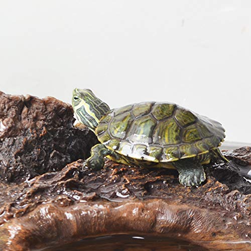Décoration habitat reptile U&T évitez le stress avec cette cachette