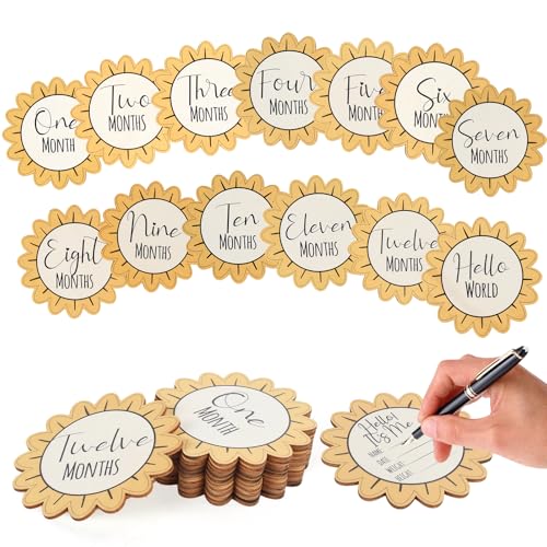 Image of Baby Monthly Milestone Signs - 13 Pack Wooden Baby Milestone Cards for 1-12 Months, Newborn Photography Props with Hello World Discs, Gender Neutral Baby Announcement for Boy Girl Age Shower Gifts