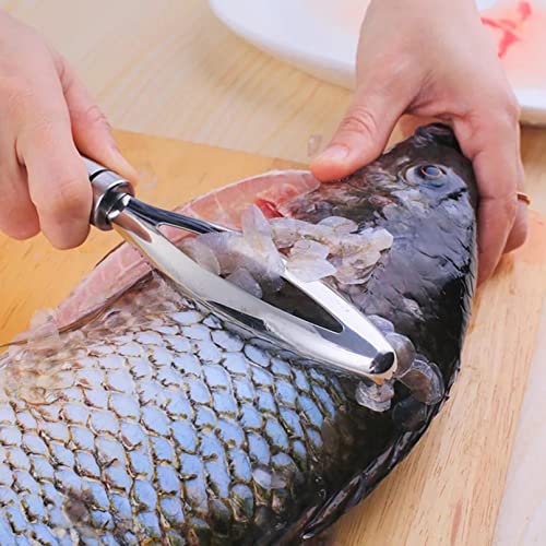 Fish Scaler, Stainless Steel Fish Scaler Remover, Fish Scraper Tool, Fish Skin Brush Scraper, Home Kitchen Gadget (2)