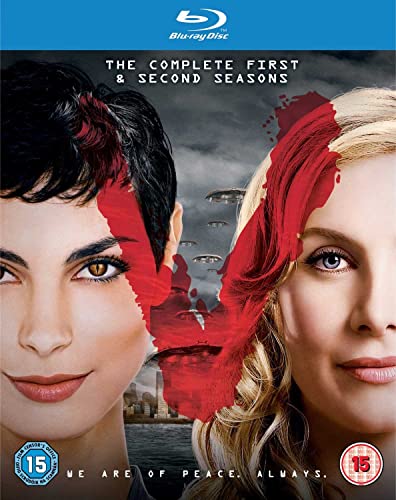 V SEASONS 12