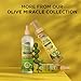 African Pride Olive Miracle 2 in 1 Shampoo & Conditioner, Moisturizing & Detangling for Coily & Curly Hair, with Olive Oil & Flaxseed Oil, 12 oz