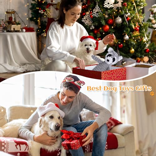BoleShine Hundespielzeug Quietschendes, Zahnreinigendes Hundespielzeug Plüsch Interaktives Spielsachen Kauspielzeug Gefüllte Spielzeug für Welpen, Kleine, Mittlere, Große Hunde (Grauer Waschbär)