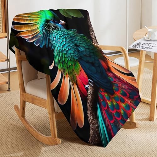 Manta de forro polar suave Hahn 130x150 cm para sofá y cama 5