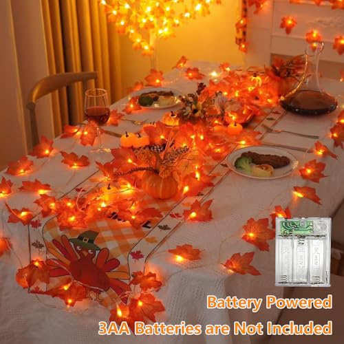 YEGUO 2 Packs Thanksgiving Decorations for Home, Fall Lights Battery Operated, Total 20ft 40 LED Lighted Fall Garland Maple Leaves for Holiday Autumn Harvest Fall Thanksgiving Halloween Decor