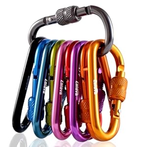6pcs 2”D-Clip Durable Locking Carabiner Keychain Clip,Keychain Clip Hook