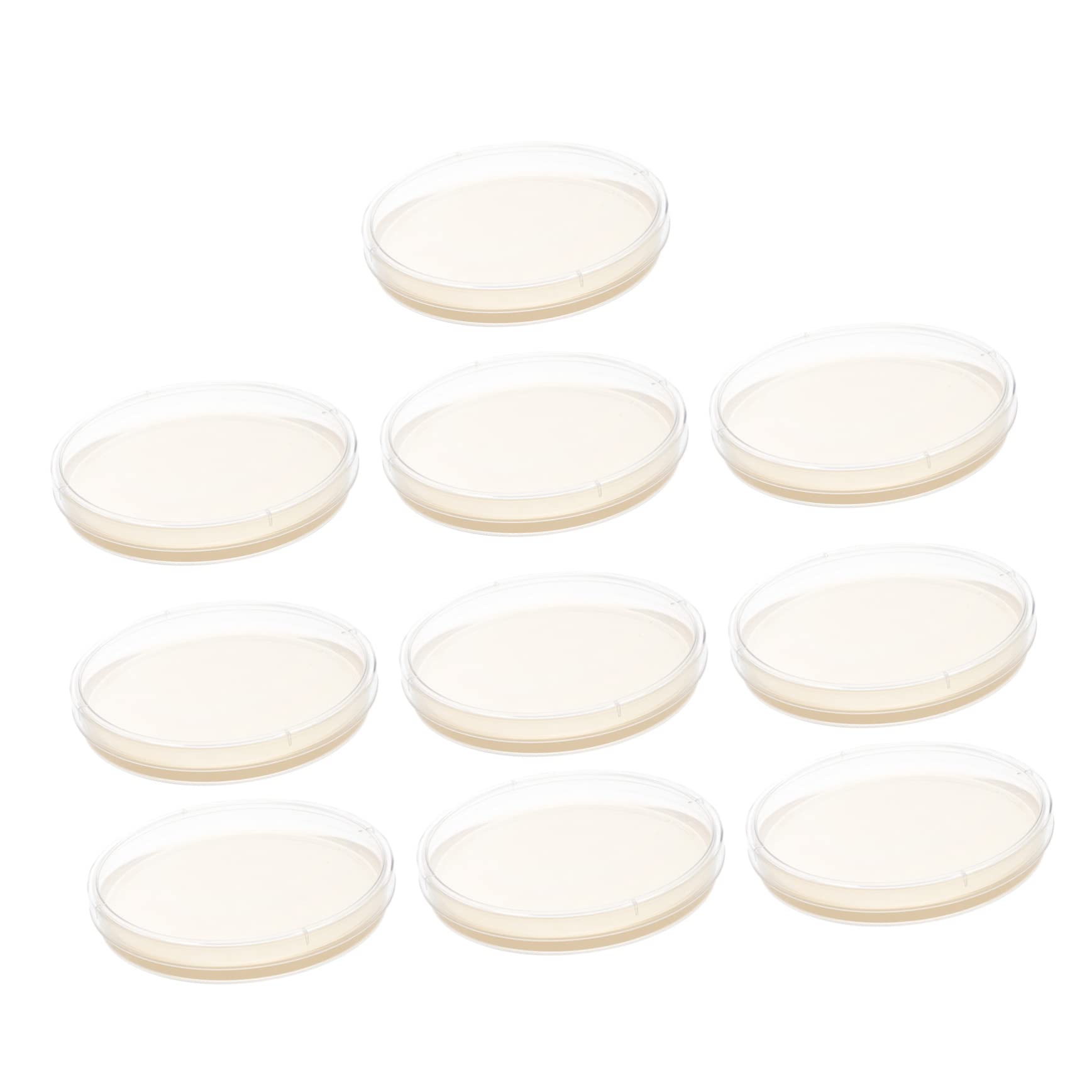 Poudre De Gélose Nutritive De 142 G, Permet De Faire Plus De 210 à 280 Boîtes De Pétri En Agar, Facile à Utiliser, Convient Pour La Recherche Scientifique, Les Expériences éducatives Ou