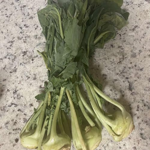 Have You Tried Kohlrabi?