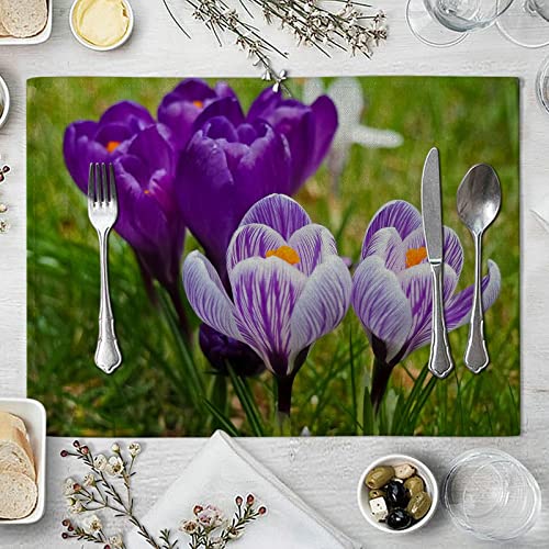 Sets de table fleurs WXKAGF lot de 4 protège-table lavables de cuisine 32x42 cm violet
