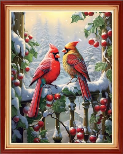 Image of Redxing Stamped Cross Stitch Kits Embroidery kit for Beginners Adults Full Range of Embroidery Patterns Starter Kits DIY Printed Cross Stitch Kits Needlepoint Kits 11CT-Bird Snow Scenery 16x20 inch