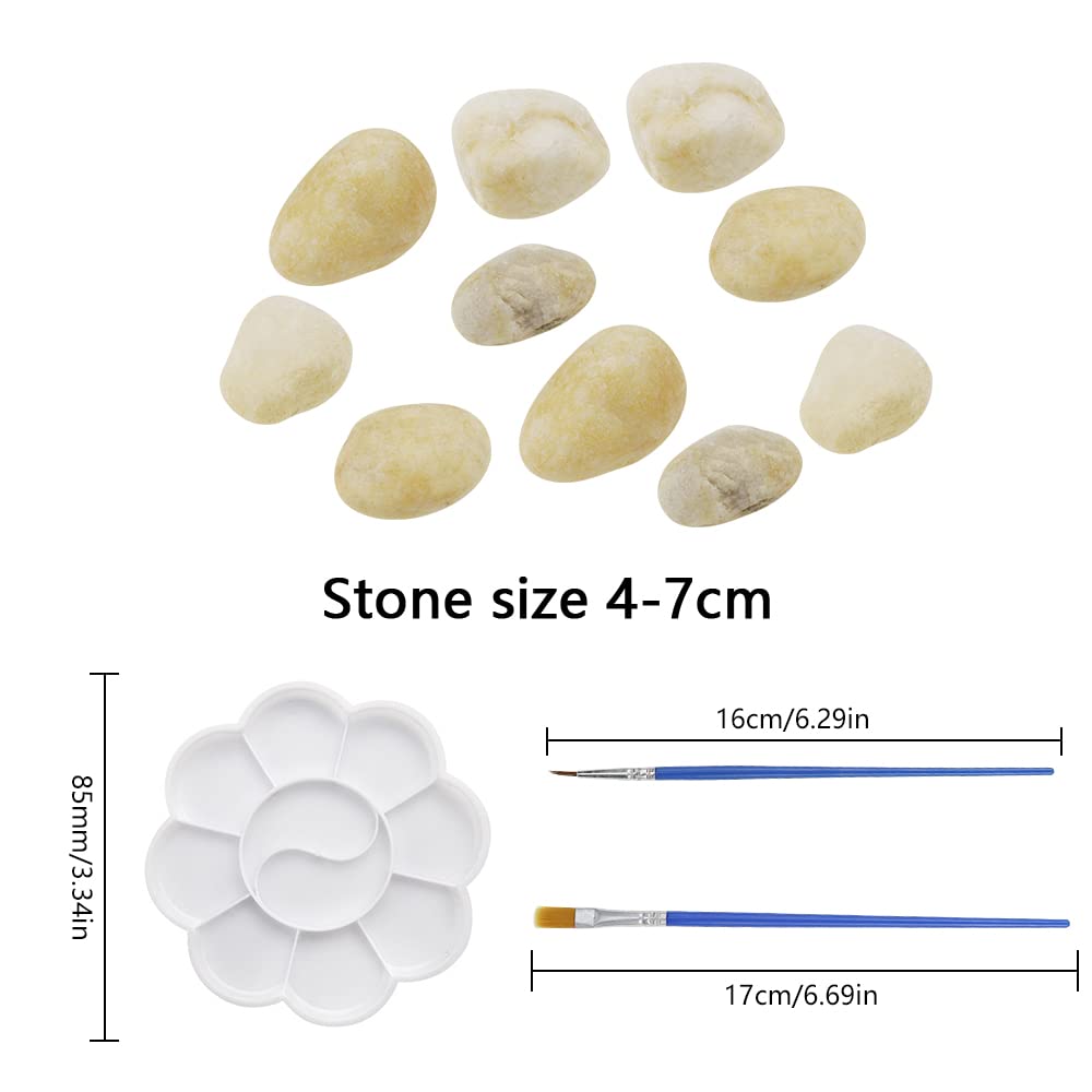 15 PCS Galets à Peindre 5-8cm - Pierres Plates Avec Peintures, Pinceaux Pour DIY, Décoration Jardin, Cadeau Créatif