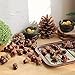 BigOtters 100 PCS Artificial Acorn, Fake Nutty Craft Acorns with Natural Acorn Cap Simulation Fruit Props for Vase Filler, Home House Autumn Favor, Thanksgiving Day Christmas Wedding Decor