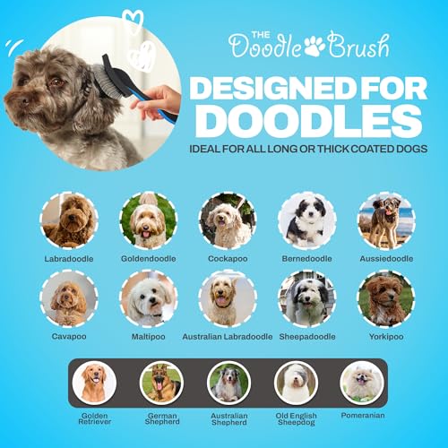 The Doodle Brush, Slicker Hundebürste für Cockapoo Pudelbürste, Hundebürste für langhaarige Hunde, Hundentwirrbürste, Hundebürsten die Pflege - Extra lange Nadel-Slickerbürste Einfache Pflege