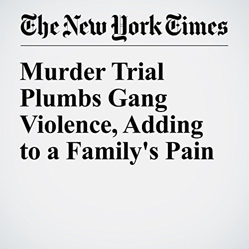 Murder Trial Plumbs Gang Violence, Adding to a Family's Pain cover art