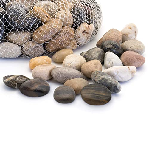 River Rocks Decorative Ornamental Vase Filler Aquarium Gravel Natural, Large 2 lbs - Landscaping Pebbles for Indoor Plants, Fish Tank Gravel, Terrarium & Home Decor, DIY & Crafting – Royal Imports