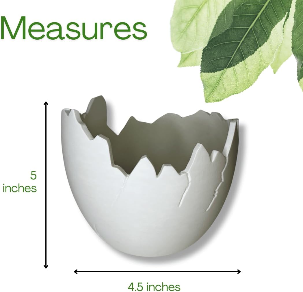 Chatelet Dinosaur Egg Shell Planter | Unique Dinosaur Tabletop Indoor or Outdoor Planter Pot | Flowers, Succulents, or Vegetable Pot | Made in USA (Small White)