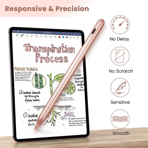 Labios, DVD Imagen adicional