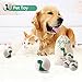 Wool Dryer Balls- 2019 New Green Dinosaur, 100% New Zealand Wool, Handmade, No Fading, Reusable Organic Natural Fabric Softener, Baby Safe Non-Chemical Reduce Wrinkles&Static Save Drying Time, 6Pack