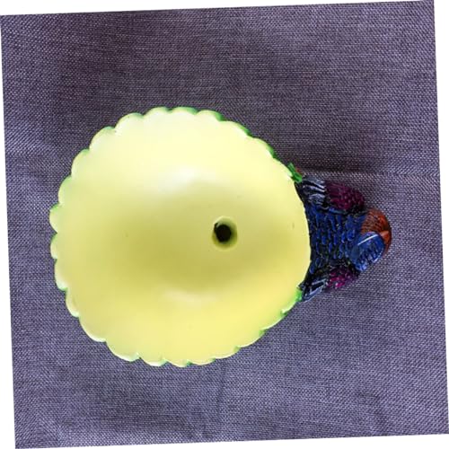Pots de fleurs succulentes paon pour rompre la monotonie d'une décoration intérieure - 3