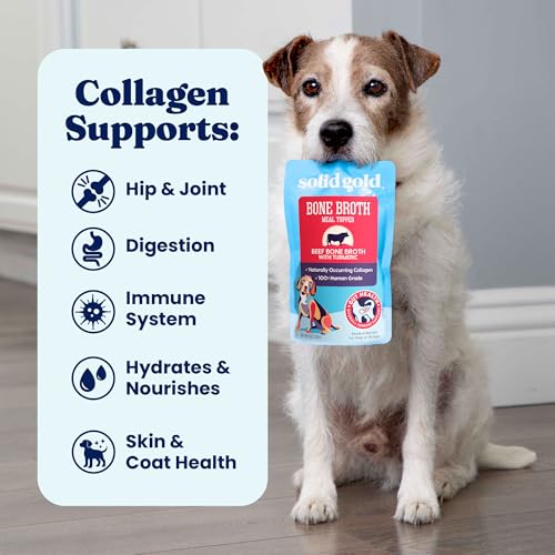 Image of Solid Gold Beef Bone Broth for Dogs - Grain Free Dog Food Topper Rich in Collagen and Superfoods - Nutrient Dense Dog Gravy Topper for Dry Food - Promotes Gut Health and Hydration - Single