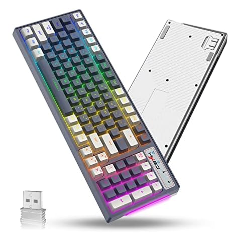 KUIYN L900 Wireless Gaming Keyboard, 2.4G Rechargeable Keyboard, 96-Key Compact-LG915, White Gray Mixed Color Keycaps,12 RGB Backlit, Full Anti-ghosting, Mechanical Feel for PC, Mac, PS4, Xbox Cover